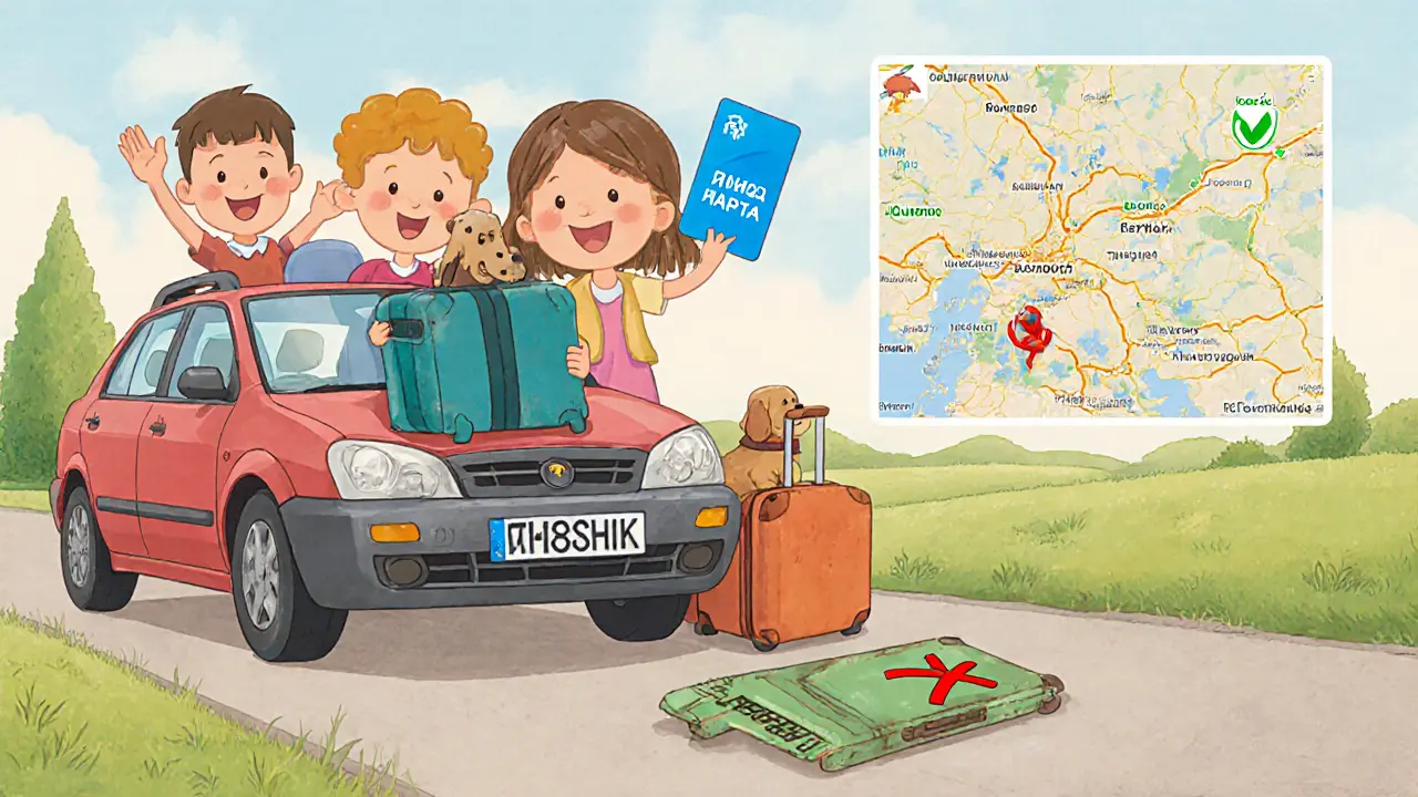 Национальные полисы вместо Зеленой карты: актуальные альтернативы для поездок за рубеж в 2025 году