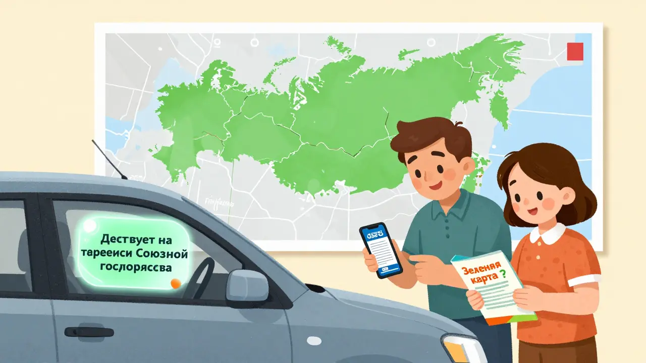 ОСАГО при выезде за границу: когда нужна Зеленая карта, а когда достаточно нового полиса для Белоруссии