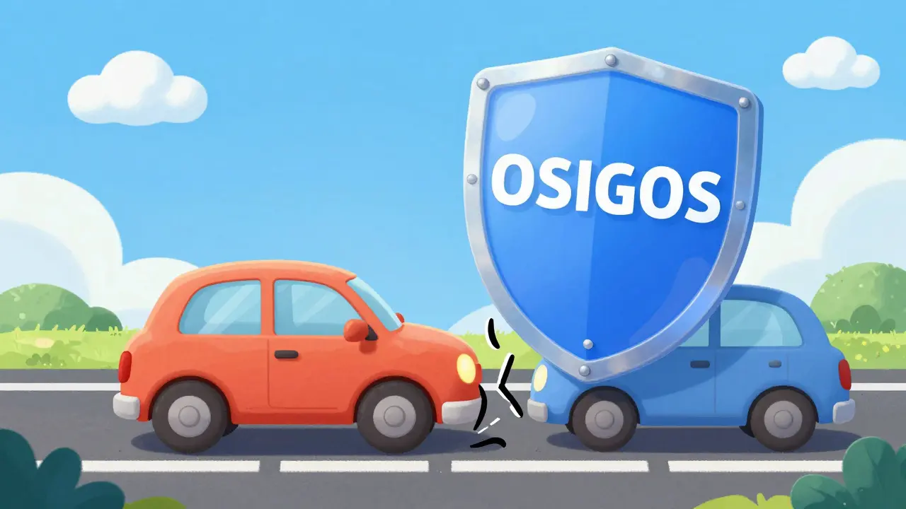 Страхование водителя от несчастного случая: зачем нужно дополнение к ОСАГО и КАСКО